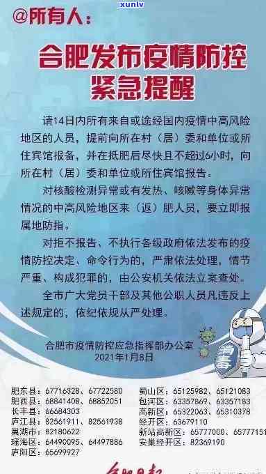 合肥最新指令深度解读与观点阐述
