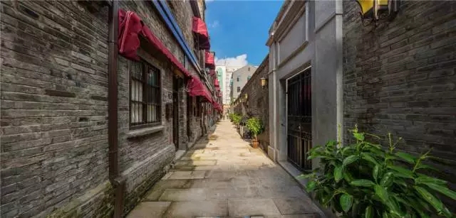 嘉兴六旗最新动态揭秘,巷弄深处的独特风味探索