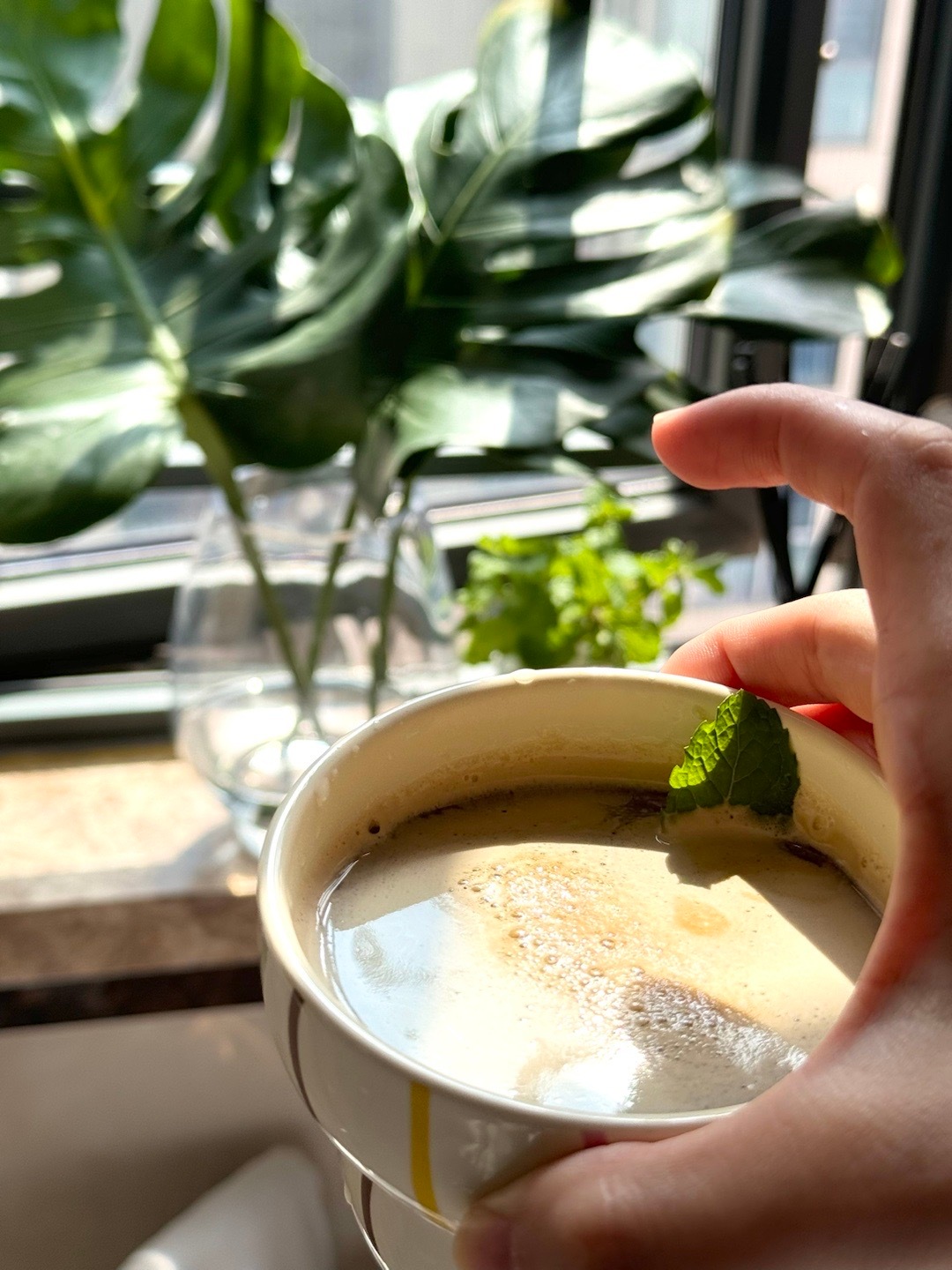 绿意盎然下的有机Z最新温馨日常