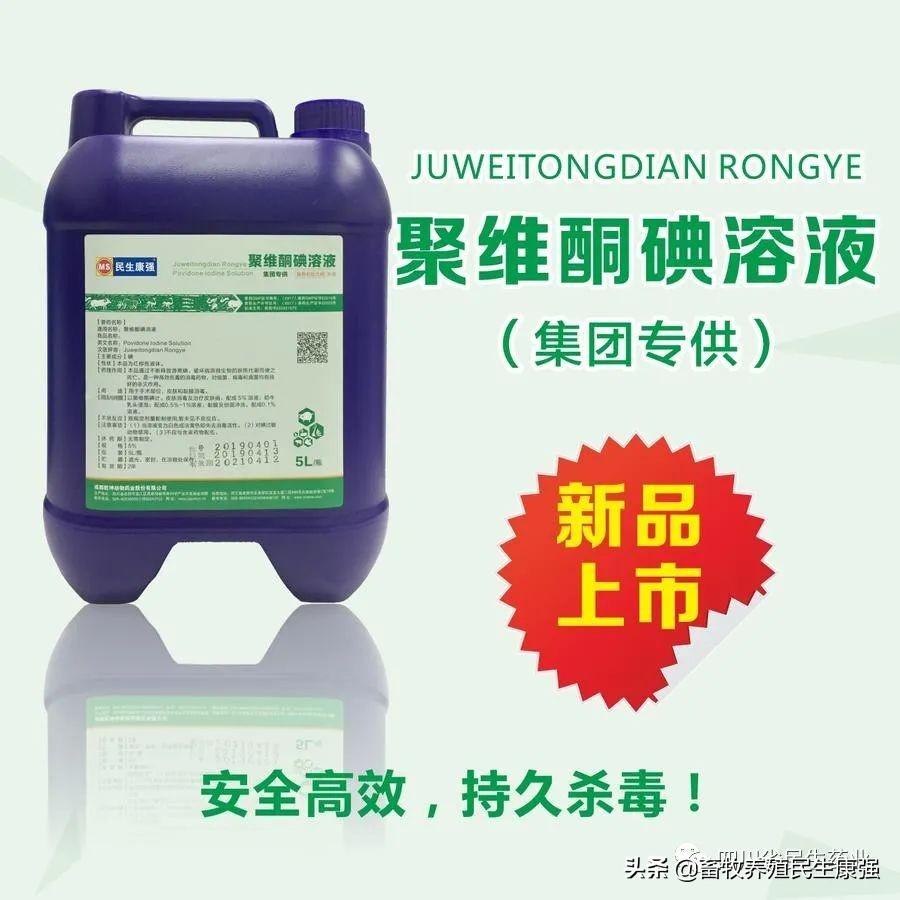 最新肉鸡价格行情及深度分析