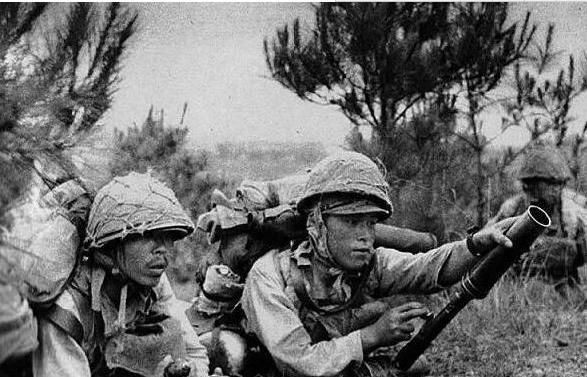 步兵番号最新详解与步骤指南