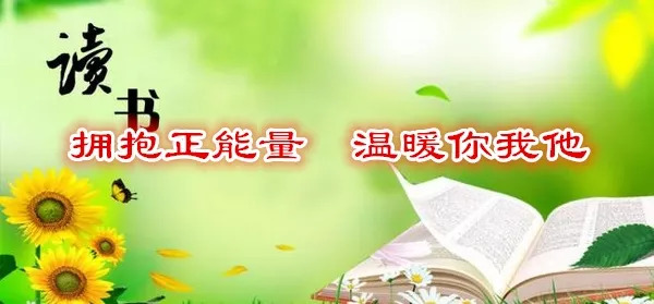 友情与陪伴的温馨日常,最新正能量新闻荟萃