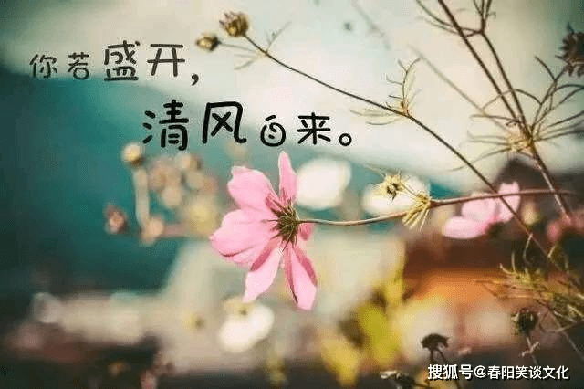 与自然美景的浪漫邂逅,最新个性签名分享