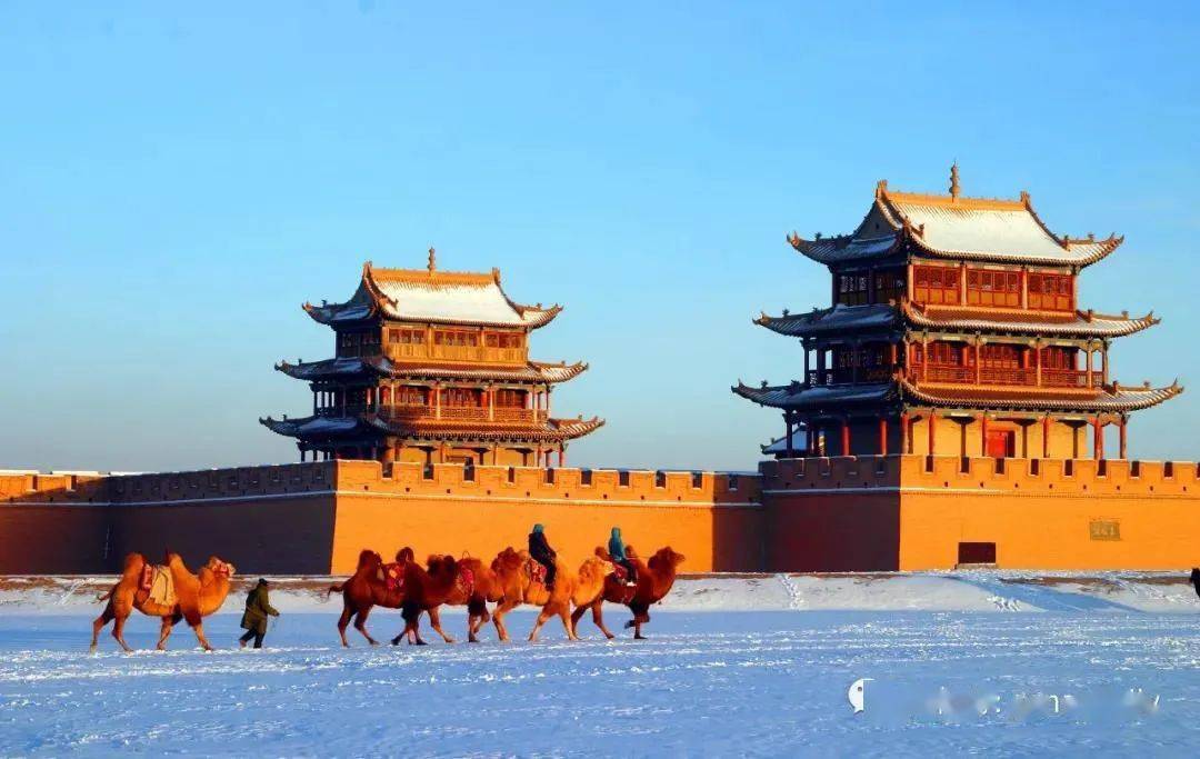 嘉峪关最新新闻,拥抱自然,启程心灵之旅