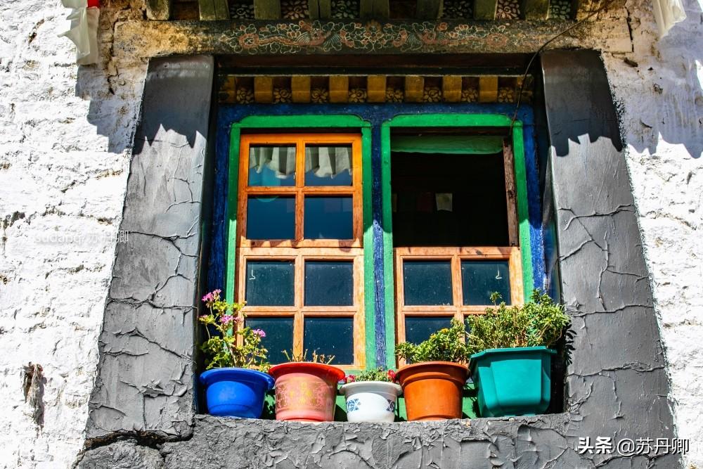 DX最新版,小巷探索之旅,发现隐秘宝藏