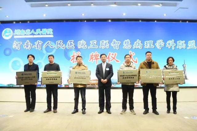 夏邑最新新闻及获取指南