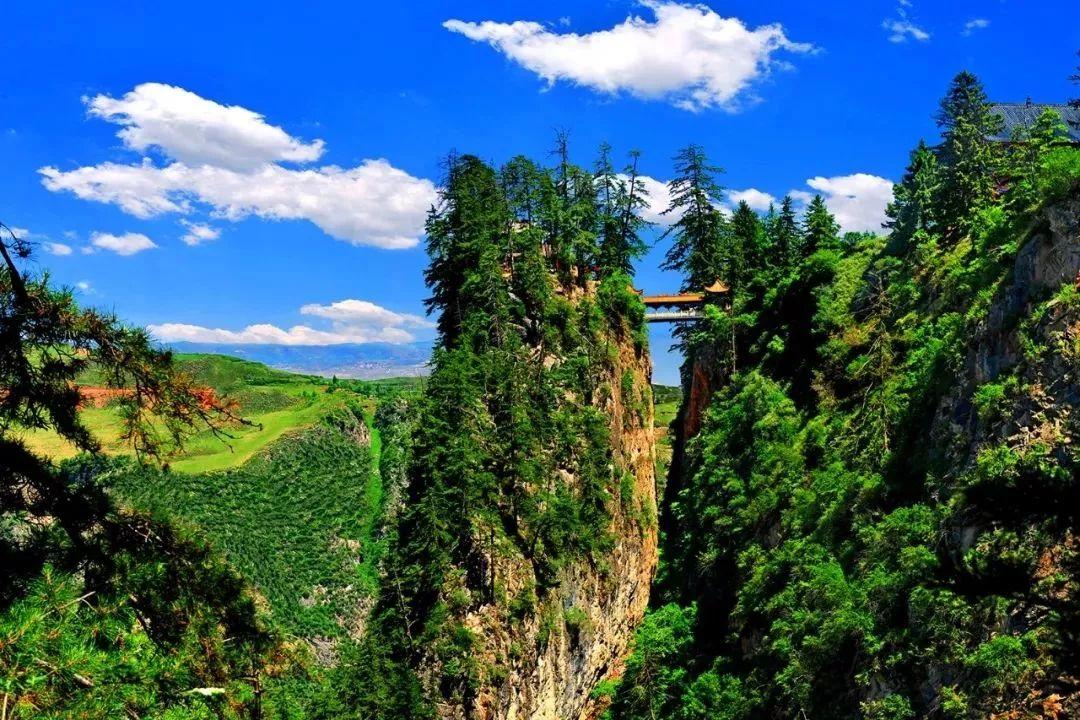 通渭新闻最新动态速递!