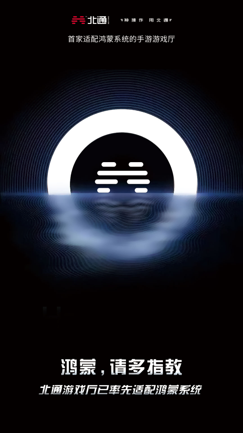 麦芒最新款,科技前沿的生活艺术品亮相