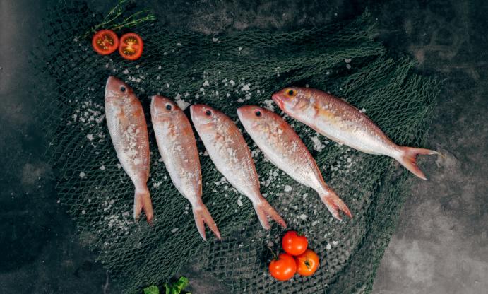 探索影视世界,最新电影BT下载全攻略