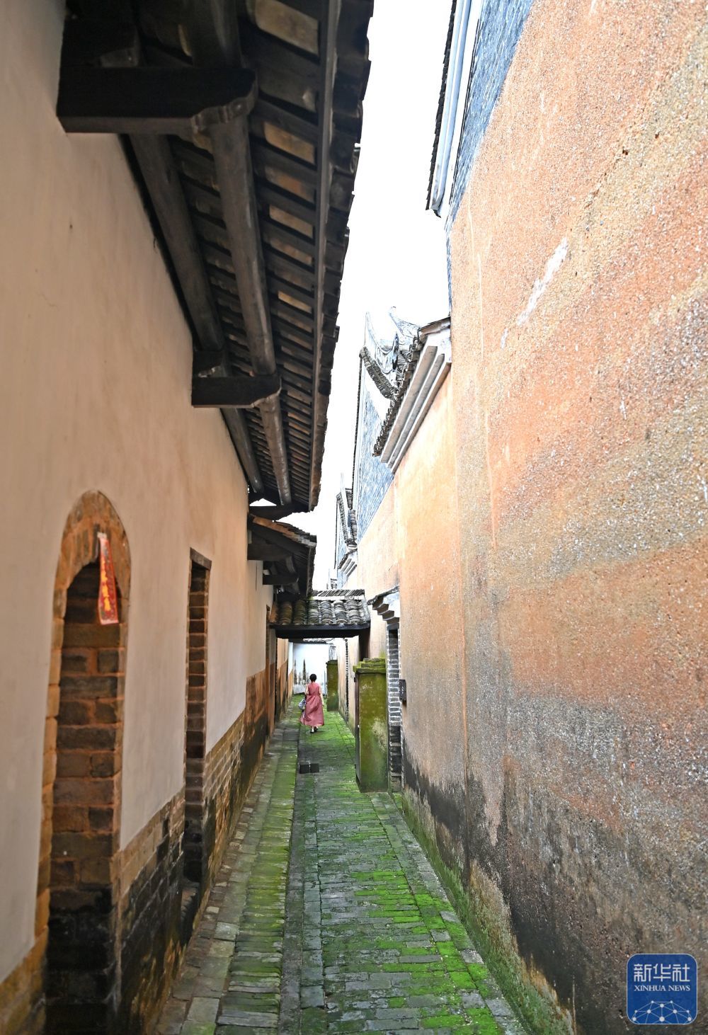 钒最新价格及小巷深处的独特风情揭秘