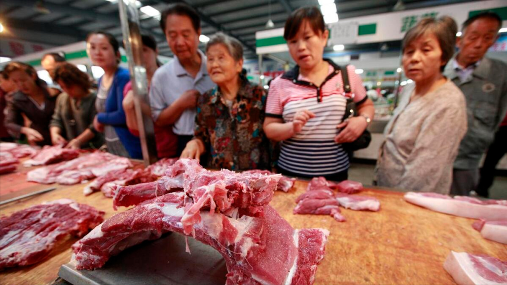 时代变迁下的猪肉市场,天天最新猪价分析