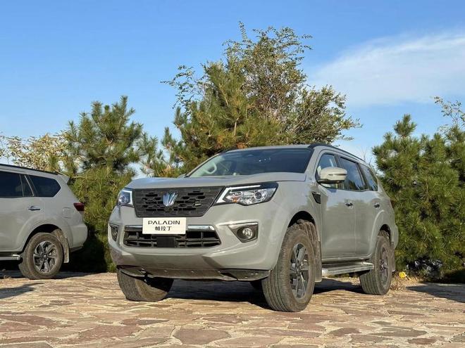 帕拉丁最新动态,铸就传奇,引领时代风潮