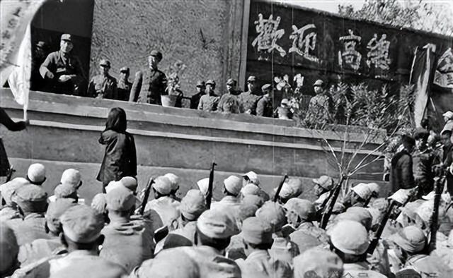 邯郸人事任免引领变革,科技浪潮席卷未来,智能时代科技魅力探索