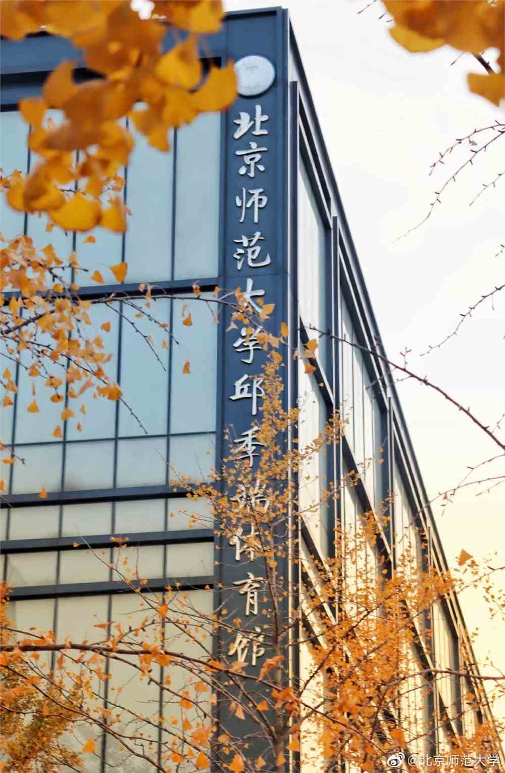 北师大,教育新高地,引领未来之路