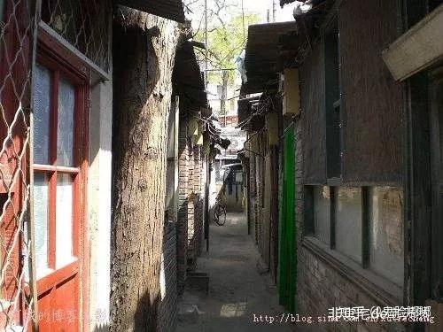 锂最新价格动态及小巷神秘宝藏探秘揭秘