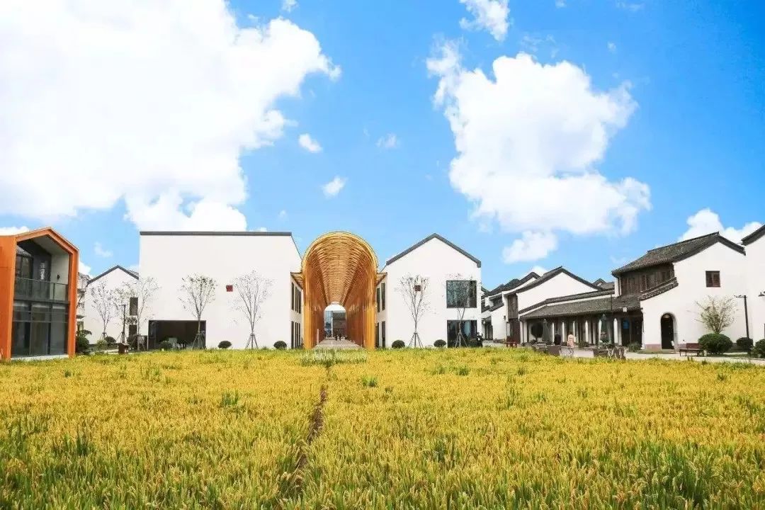 探索自然美景的治愈之旅,最新地推项目揭秘