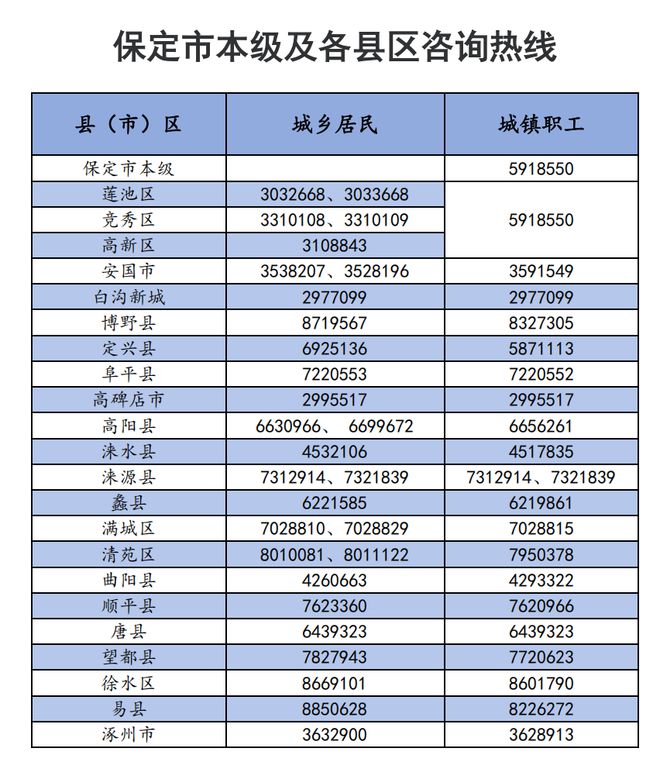 保定市最新新闻报道