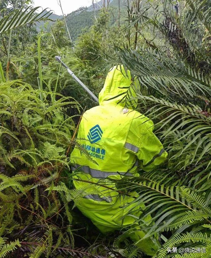 东山台风实时更新,最新动态与警报通知