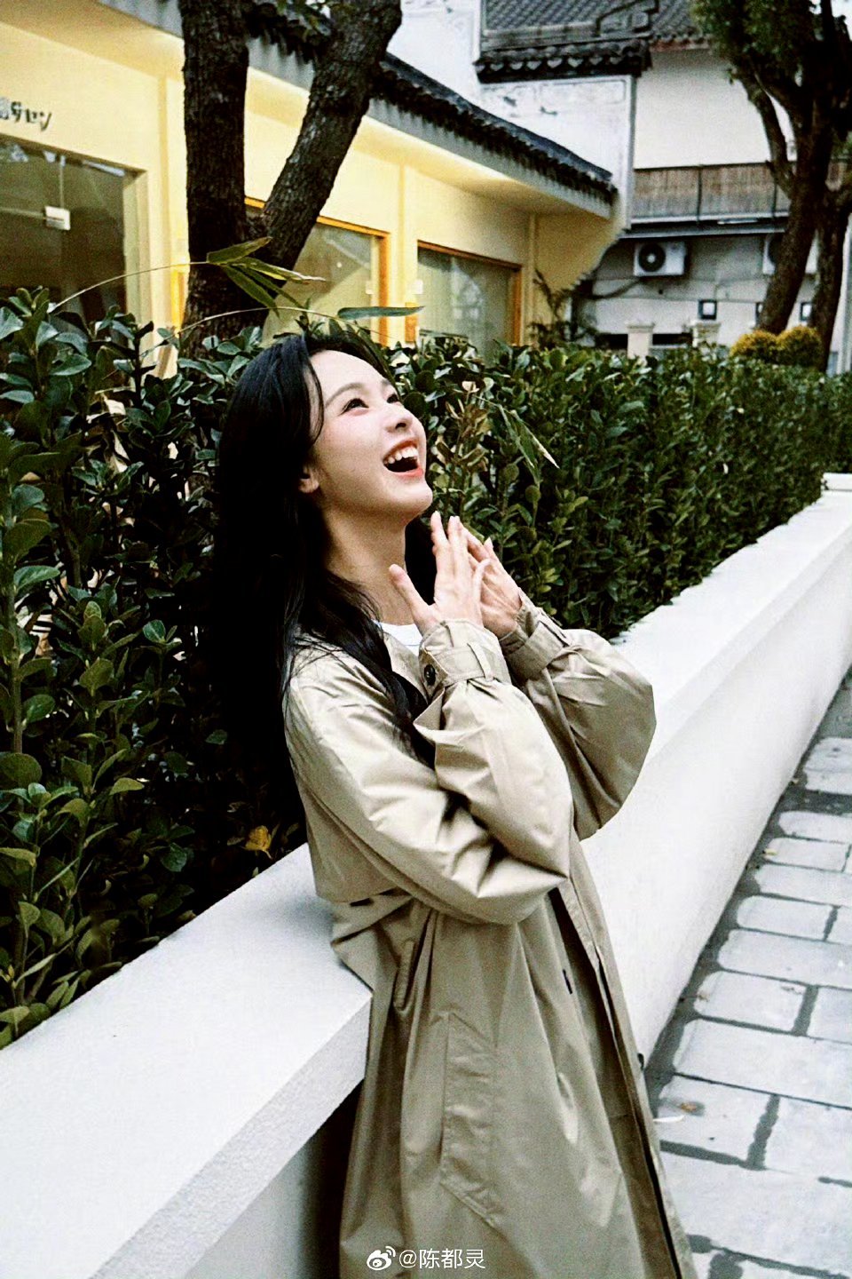 陈都灵最新照片及获取步骤指南