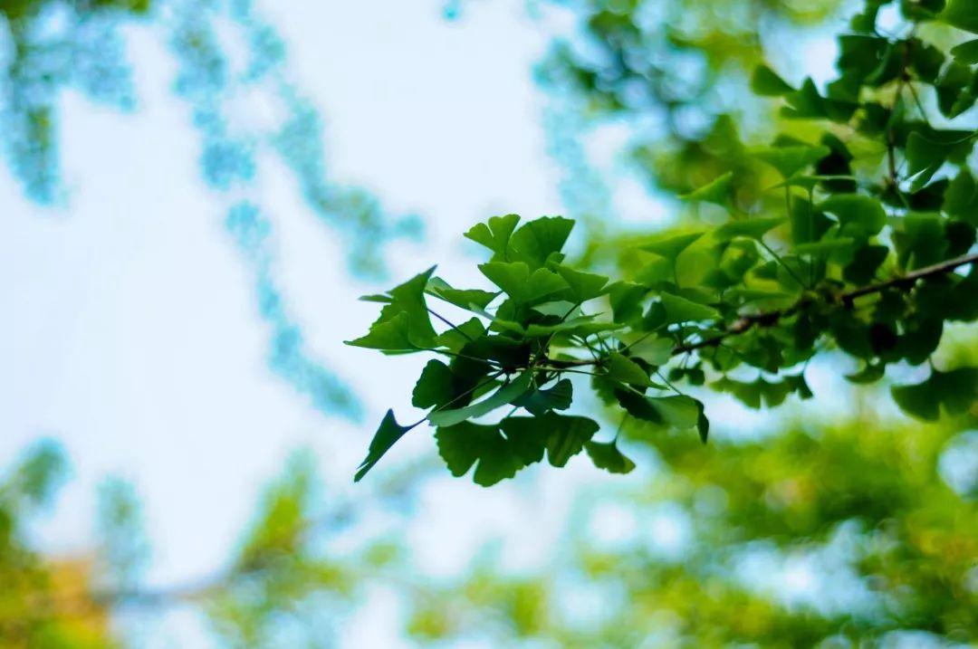 比亚迪唐最新报价,驾驭变化,励志同行,成就精彩自我