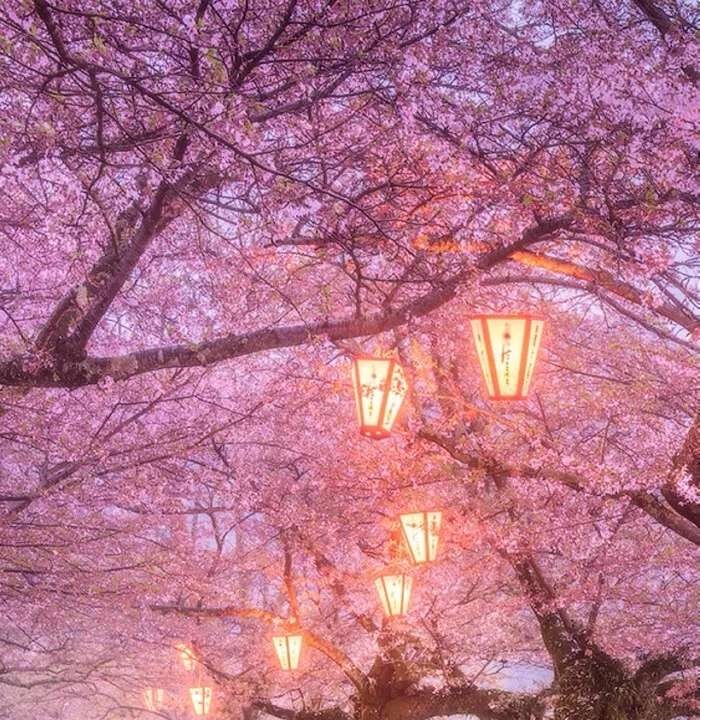 最新MP3歌曲免费下载,小巷深处的音乐宝藏大揭秘