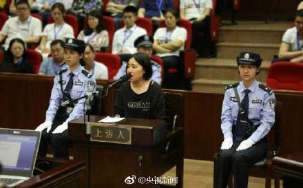 杭州保母纵火案最新进展与深度反思视频揭秘事件真相