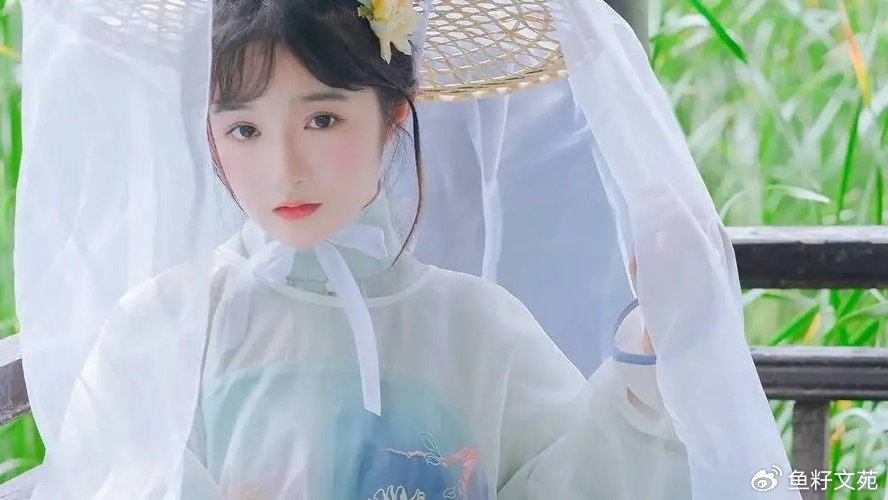 宁无双言瑾禾最新章节,奇幻旅程的继续