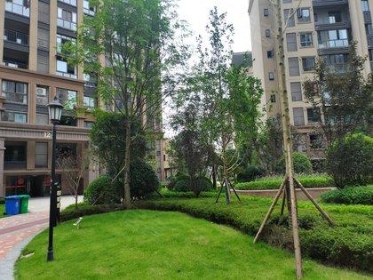 承平盛世四期最新图片——科技与生活的新纪元展示