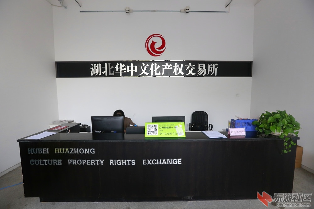 华中文交所最新动态,时代脉搏与文化交汇点的更新消息