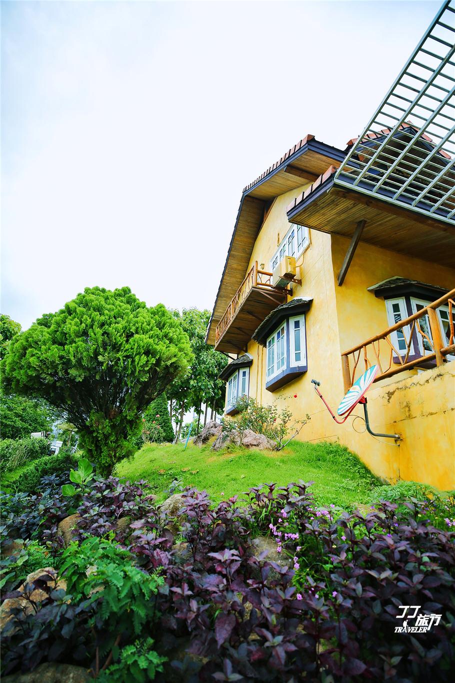 执爱成灰最新章节列表,小巷风情与隐藏特色小店探秘