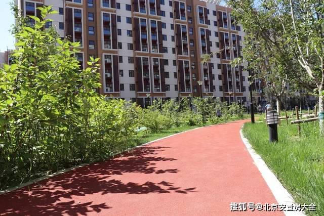 北京朝阳棚改最新动态,探索自然美景的旅程启程